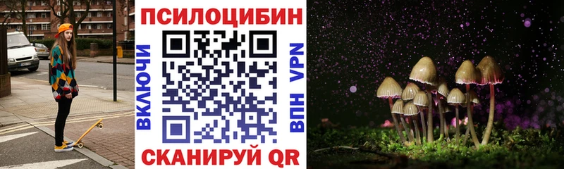Галлюциногенные грибы Psilocybe  Купить закладки  Юрьевец 
